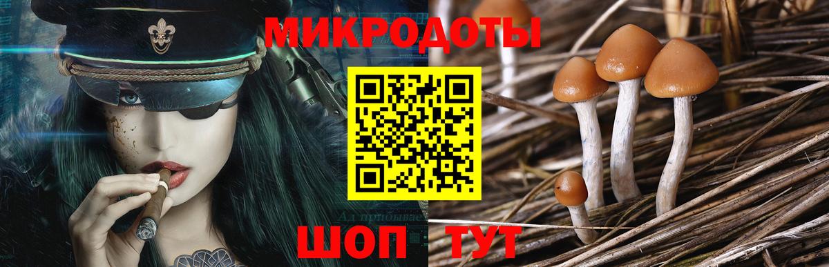где купить наркоту  Вход с VPN  Галлюциногенные грибы Psilocybe  Куйбышев  Галлюциногенные грибы Psilocybe 